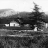 ctyricitka