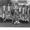 fotbal